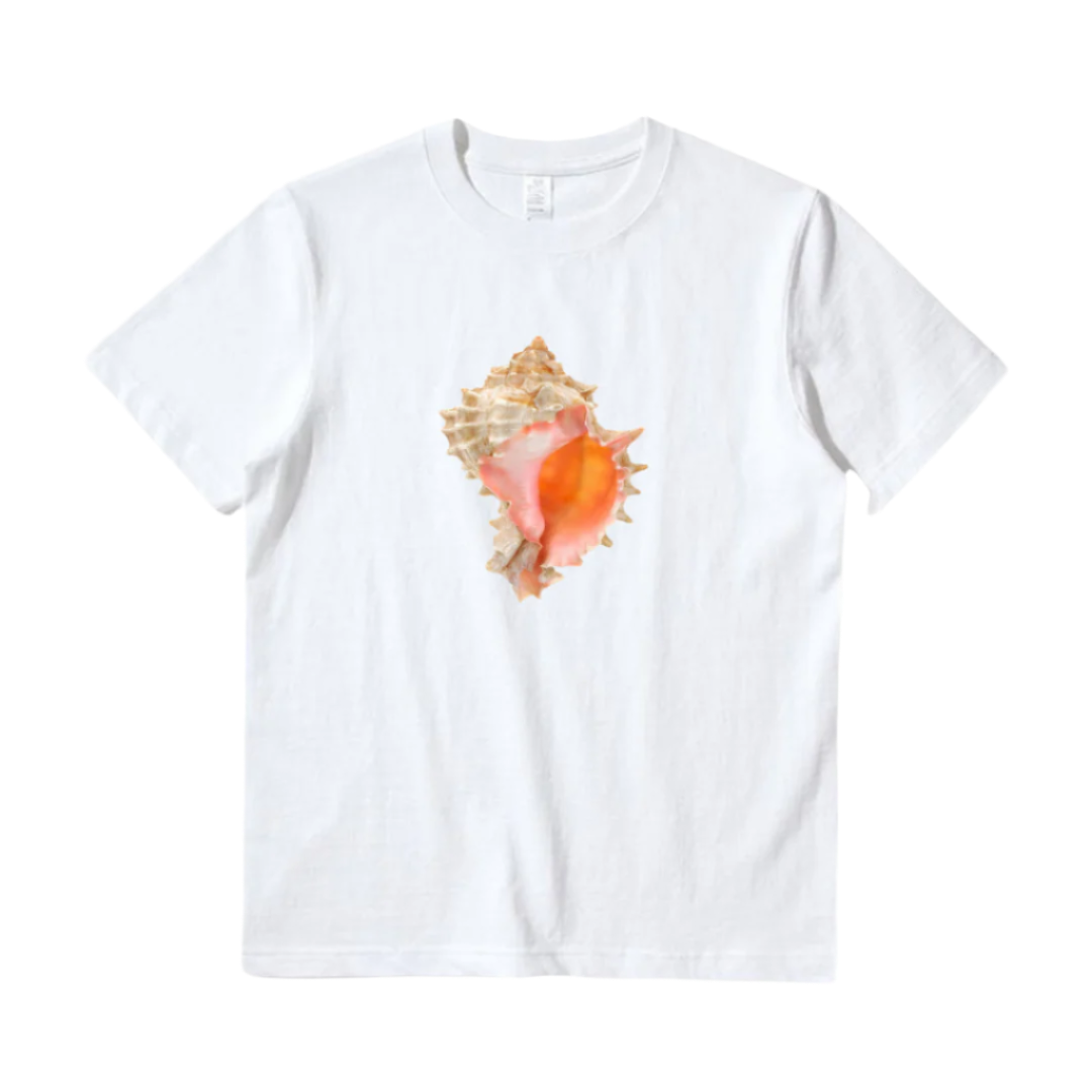 Seashell T-Shirt
